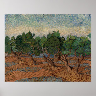 Vincent van Gogh - Olive Grove Poster