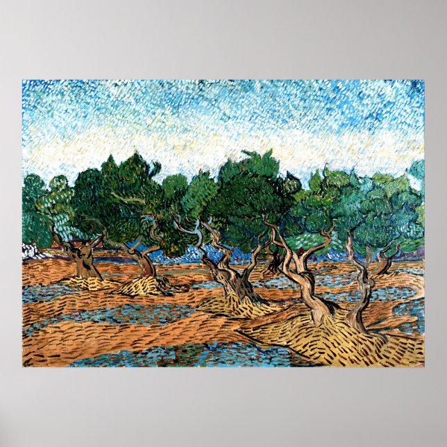 Vincent van Gogh - Olive Grove  Poster (Front)
