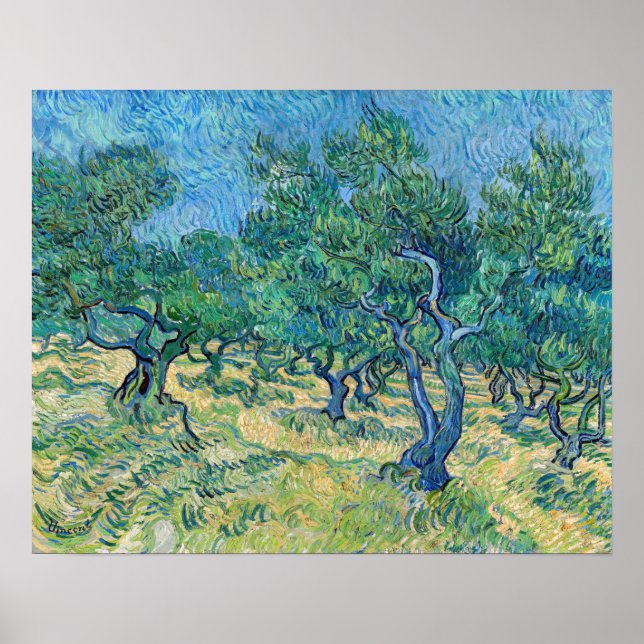 Vincent van Gogh - Olive Grove Poster (Front)