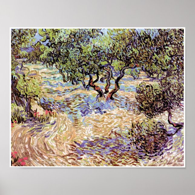Vincent Van Gogh - Olive Orchard Fine Art Poster (Front)