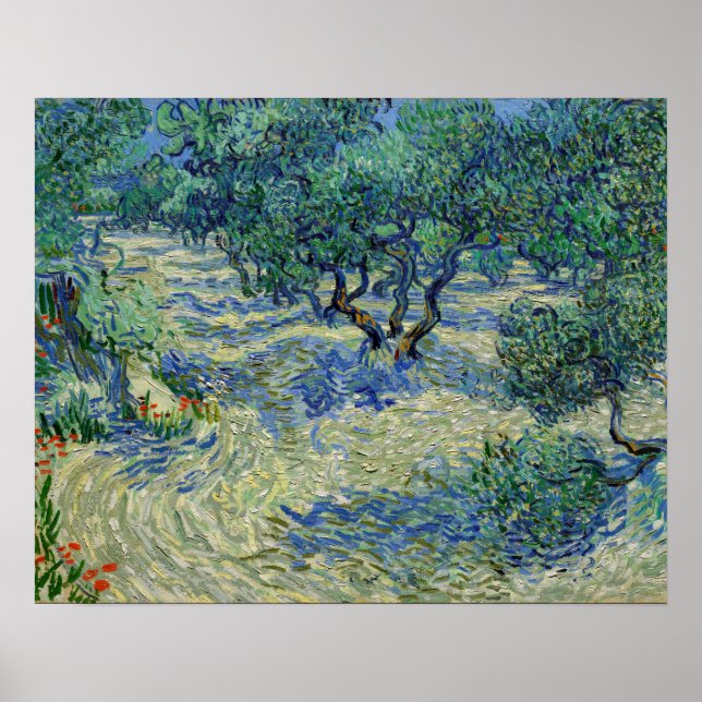 Vincent van Gogh - Olive Orchard Poster (Front)