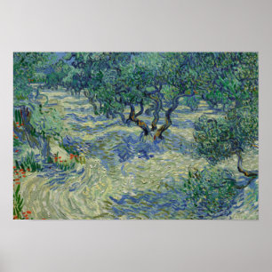Vincent van Gogh - Olive Orchard Poster