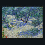 Vincent van Gogh Olive Orchard Poster<br><div class="desc">Vincent van Gogh Olive Orchard</div>