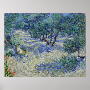 Vincent van Gogh Olive Orchard Poster