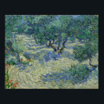 Vincent van Gogh - Olive Orchard Poster<br><div class="desc">Vincent van Gogh - Olive Orchard,  1889. Beautiful painting by Vincent Van Gogh for lovers of true art and beautiful colours.</div>