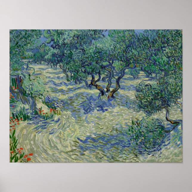 Vincent van Gogh - Olive Orchard Poster (Front)