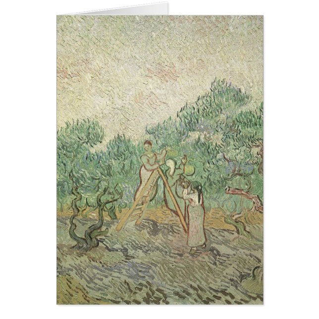 Vincent van Gogh - Olive Picking (Front)