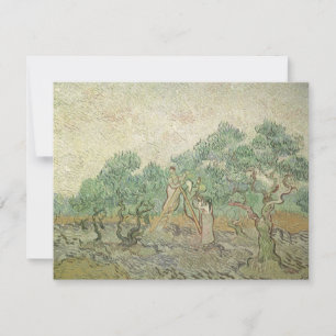 Vincent van Gogh - Olive Picking