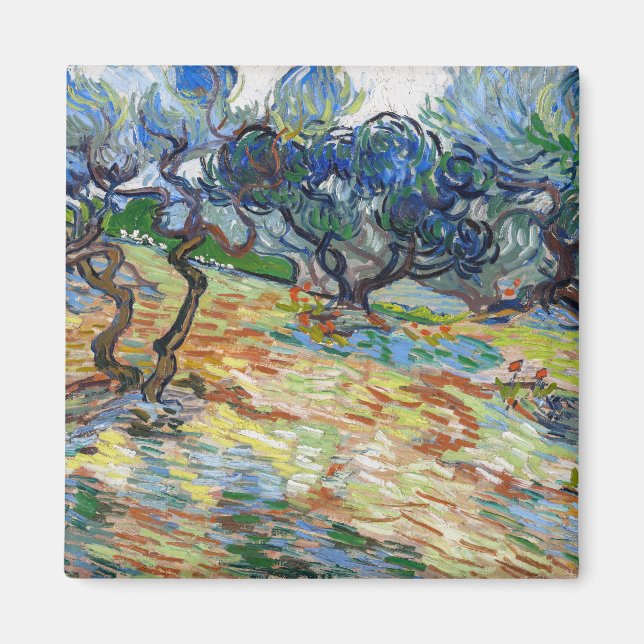 Vincent van Gogh - Olive Trees: Bright blue sky Magnet (Front)
