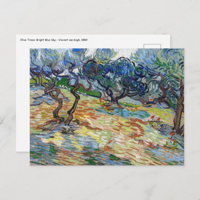Vincent van Gogh - Olive Trees: Bright blue sky Postcard (Front/Back)