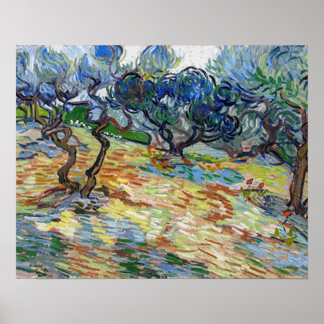 Vincent van Gogh - Olive Trees: Bright blue sky Poster (Front)