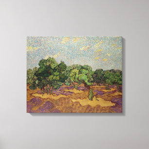 Vincent van Gogh - Olive Trees Canvas Print