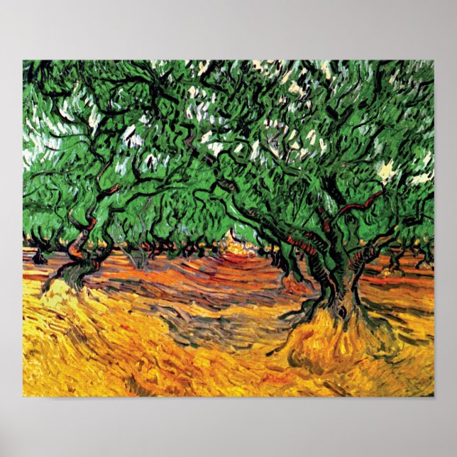 Vincent Van Gogh - Olive Trees Fine Art Poster (Front)