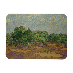 Vincent van Gogh - Olive Trees Magnet