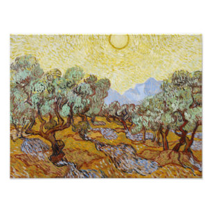 Vincent van Gogh - Olive Trees Photo Print