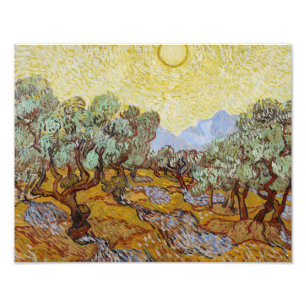 Vincent van Gogh - Olive Trees Photo Print