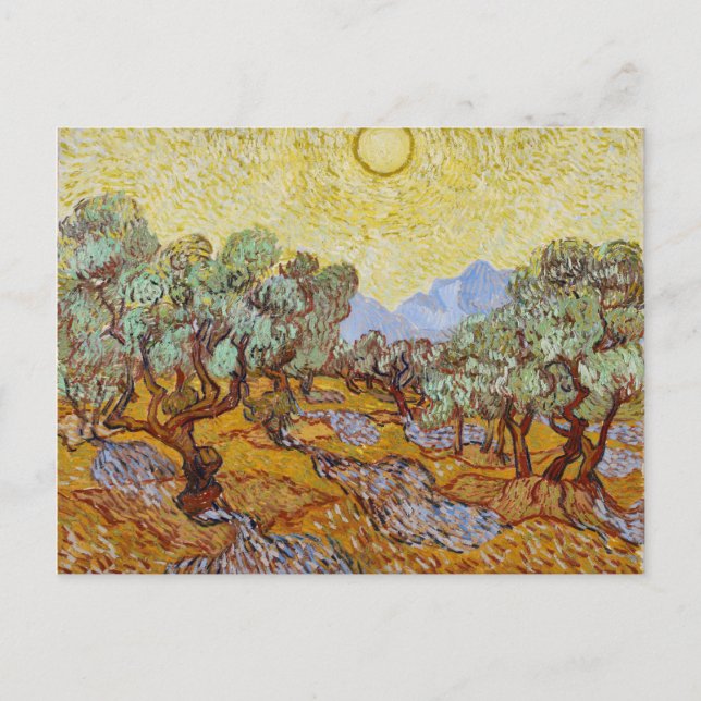 Vincent Van Gogh Olive Trees Postcard (Front)