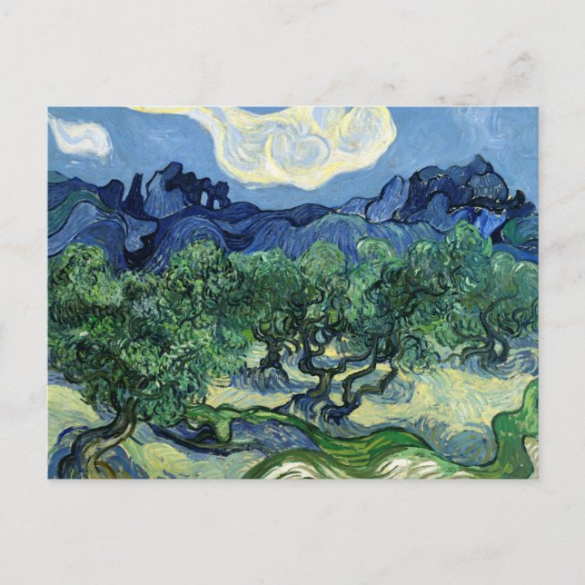 Vincent van Gogh Olive Trees Postcard | Stunning  (Front)