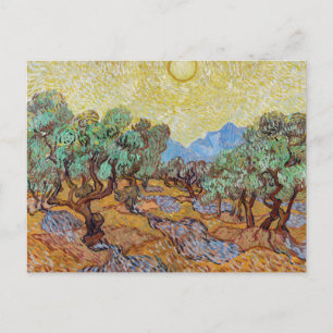Vincent van Gogh Olive Trees Postcard Stunning A