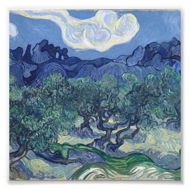Vincent Van Gogh - Olive Trees with the Alpilles Photo Print (Front)