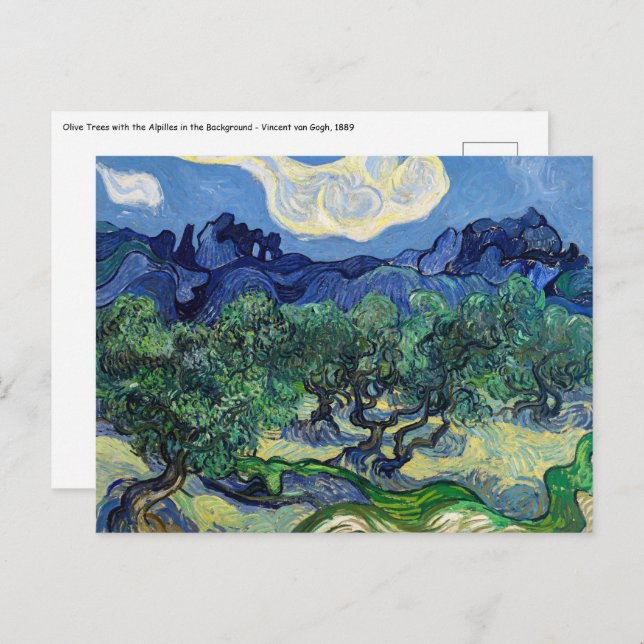Vincent van Gogh - Olive Trees with the Alpilles Postcard (Front/Back)