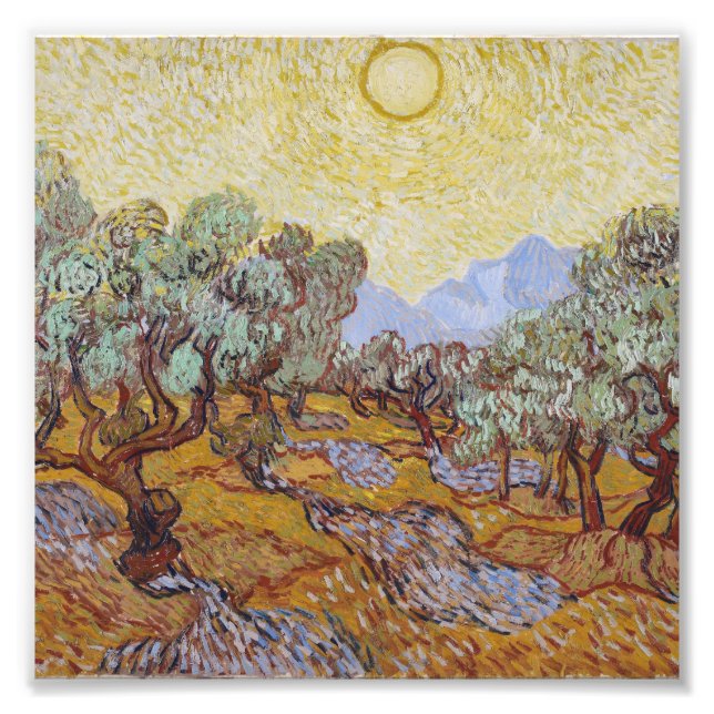 Vincent Van Gogh - Olive Trees with Yellow Sky Photo Print (Front)
