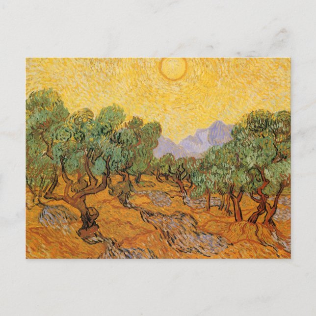 Vincent van Gogh - Olive Trees, Yellow Sky and Sun Postcard (Front)