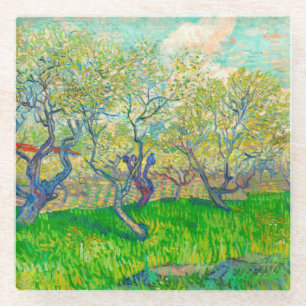 Vincent van Gogh Orchard in Blossom Glass Coaster