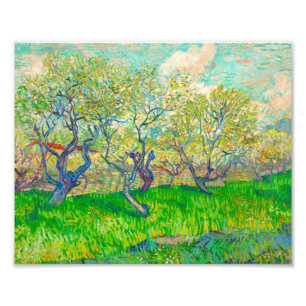 Vincent van Gogh Orchard in Blossom Photo Print