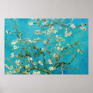 Vincent Van Gogh painting Almond Blossoms Poster