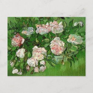 Vincent Van Gogh - Still Life Pink Roses Fine Art Postcard