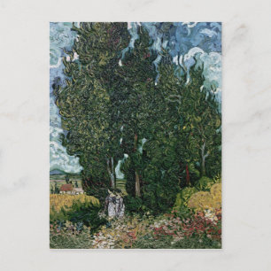 Vincent van Gogh The cypresses, c.1889-90 Postcard