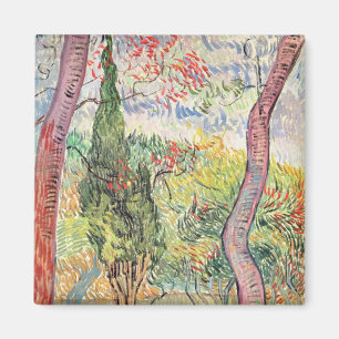 Vincent van Gogh   The Garden of St. Paul Hospital Magnet