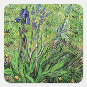 Vincent Van Gogh - The Iris Nature Lover Fine Art Square Sticker