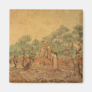 Vincent van Gogh The Olive Grove, 1889 Magnet