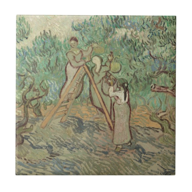 Vincent Van Gogh | The Olive Orchard Ceramic Tile (Front)