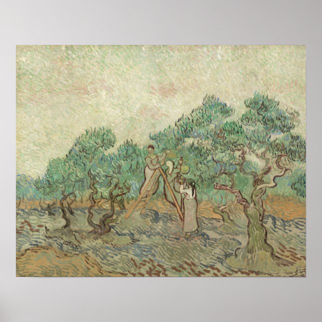 Vincent Van Gogh | The Olive Orchard Poster (Front)