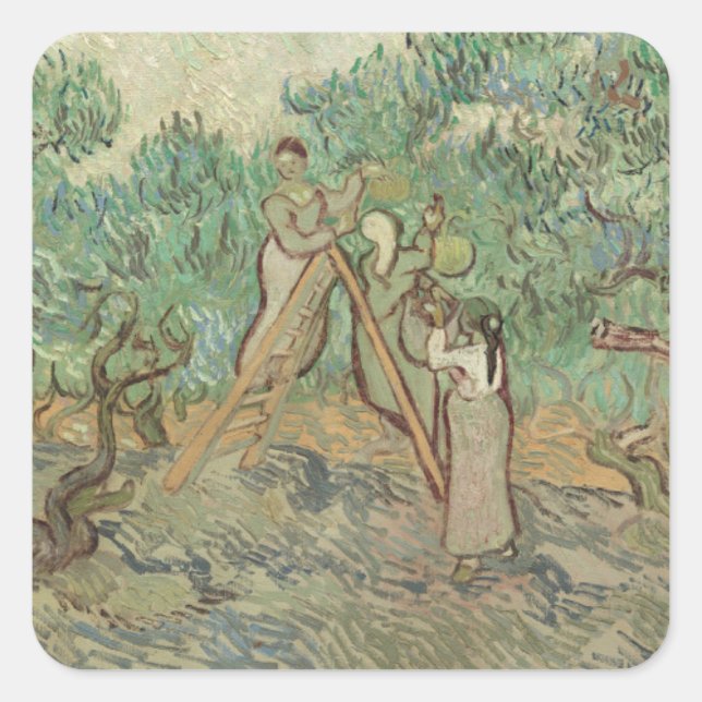 Vincent Van Gogh | The Olive Orchard Square Sticker (Front)