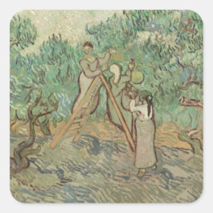 Vincent Van Gogh   The Olive Orchard Square Sticker