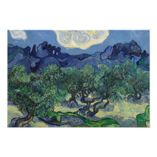 Vincent van Gogh - The Olive Trees Photo Print