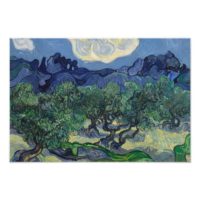 Vincent van Gogh - The Olive Trees Photo Print (Front)
