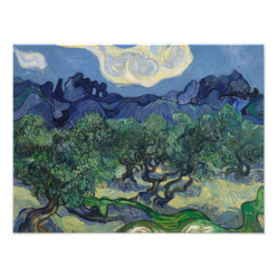 Vincent van Gogh - The Olive Trees Photo Print