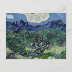 Vincent van Gogh - The Olive Trees Postcard