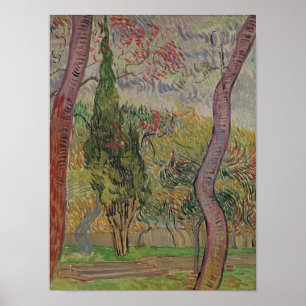 Vincent van Gogh   The Park at the Saint-Paul Poster