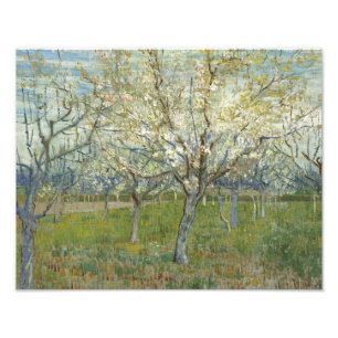 Vincent van Gogh - The Pink Orchard Photo Print