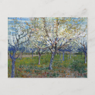 Vincent van Gogh The Pink Orchard Postcard