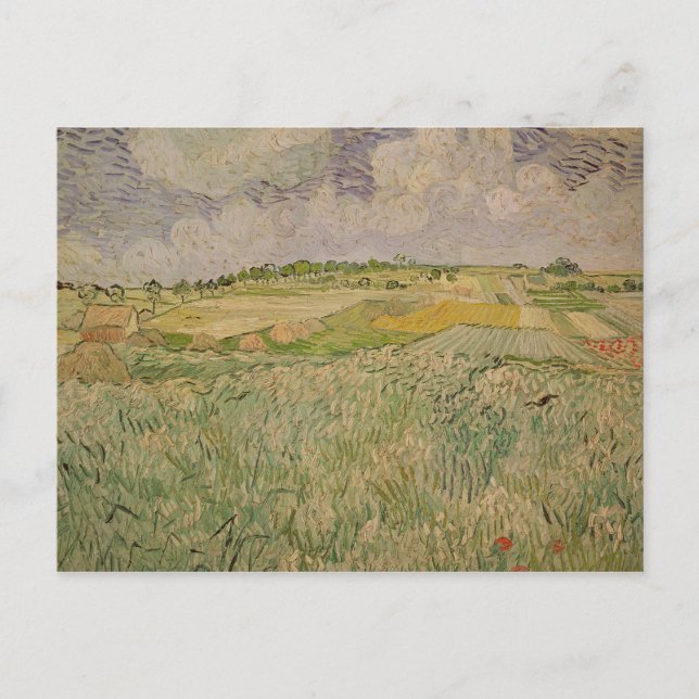 Vincent van Gogh | The Plain at Auvers, 1890 Postcard (Front)