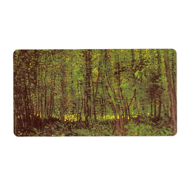 Vincent van Gogh - Trees and Undergrowth (Front)