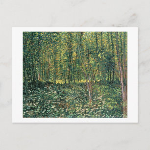 Vincent van Gogh Trees and Undergrowth, 1887 Postcard