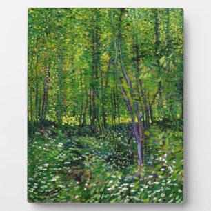 Vincent Van Gogh Trees And Undergrowth Plaque
